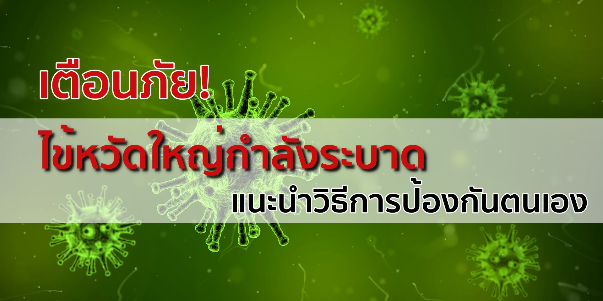 Influenza Virus H1n1