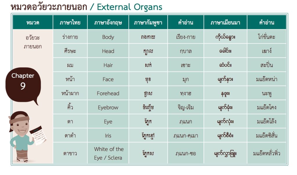 external organs