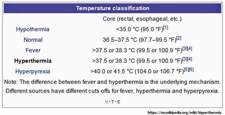 Hyperthermia Optimized