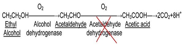 Formula Acetaldehyde
